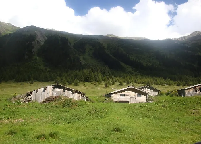 Toni فندق غالتور